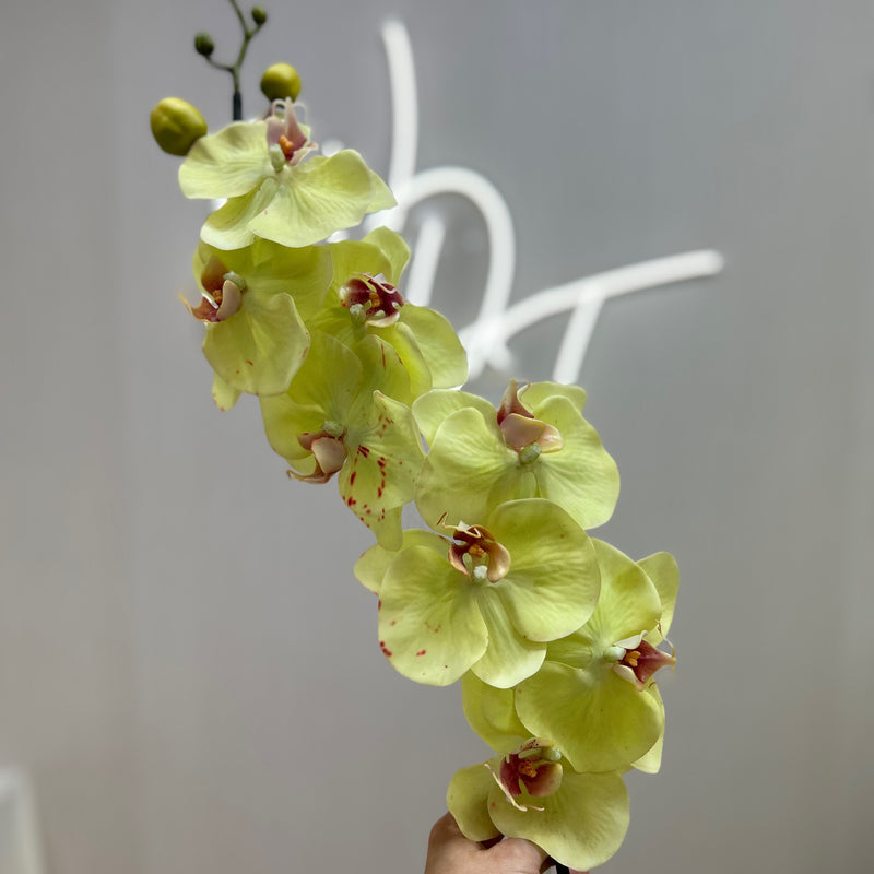 Single Stem Real Touch Orchids