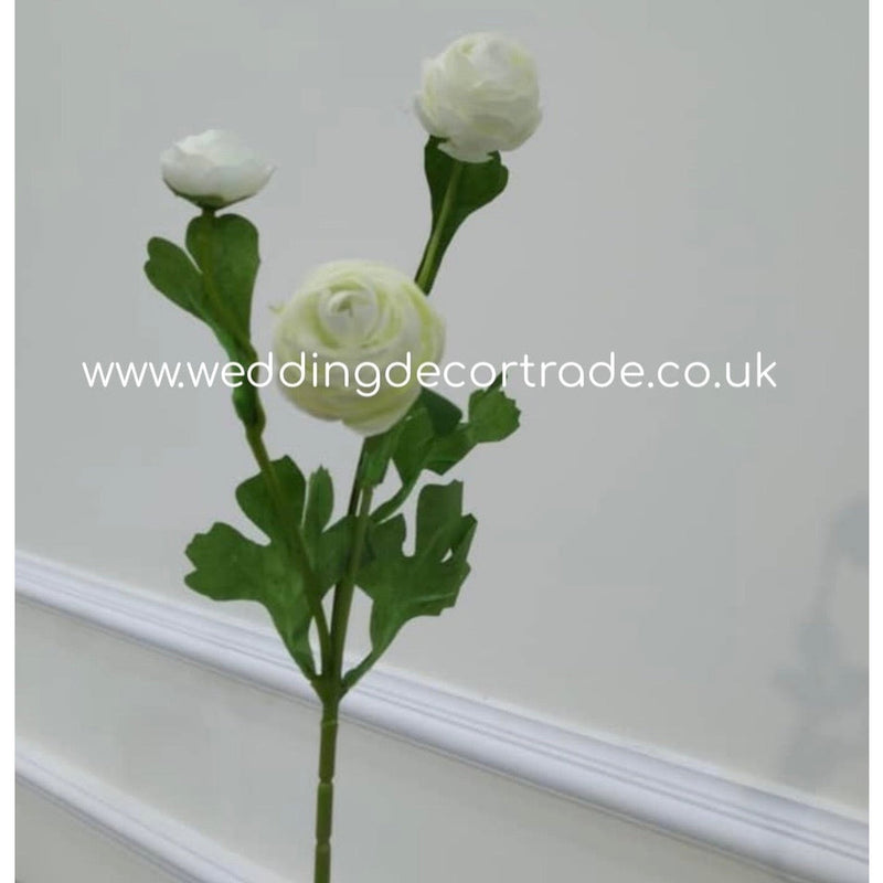 Ranunculus 3 Head Stem - Ivory - M11